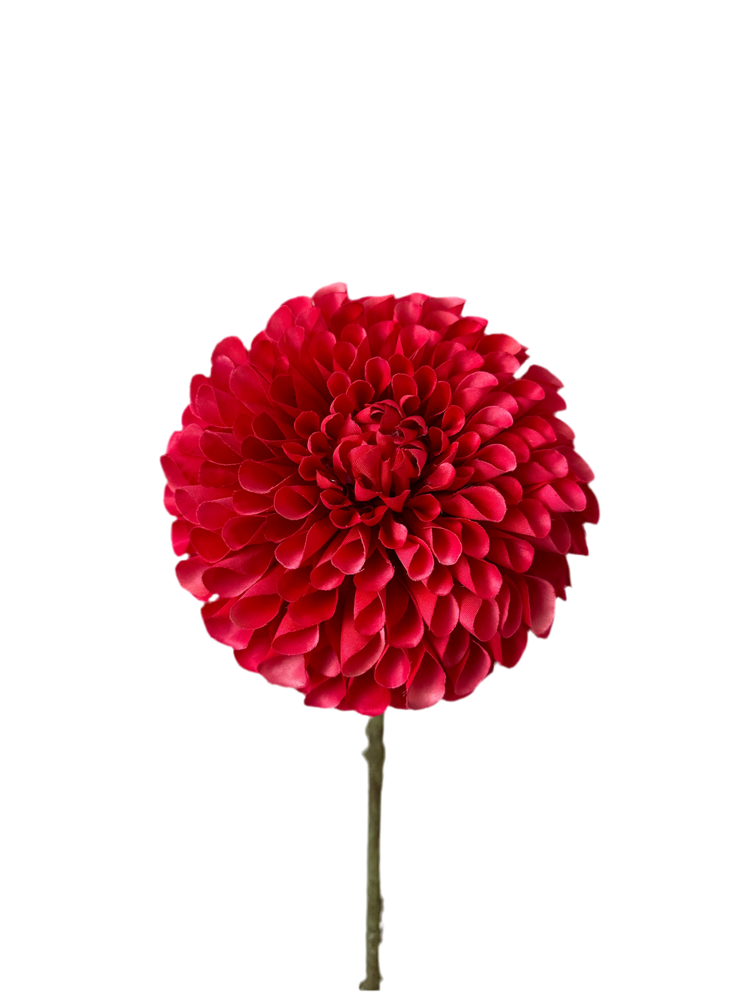 Dalia rood silka