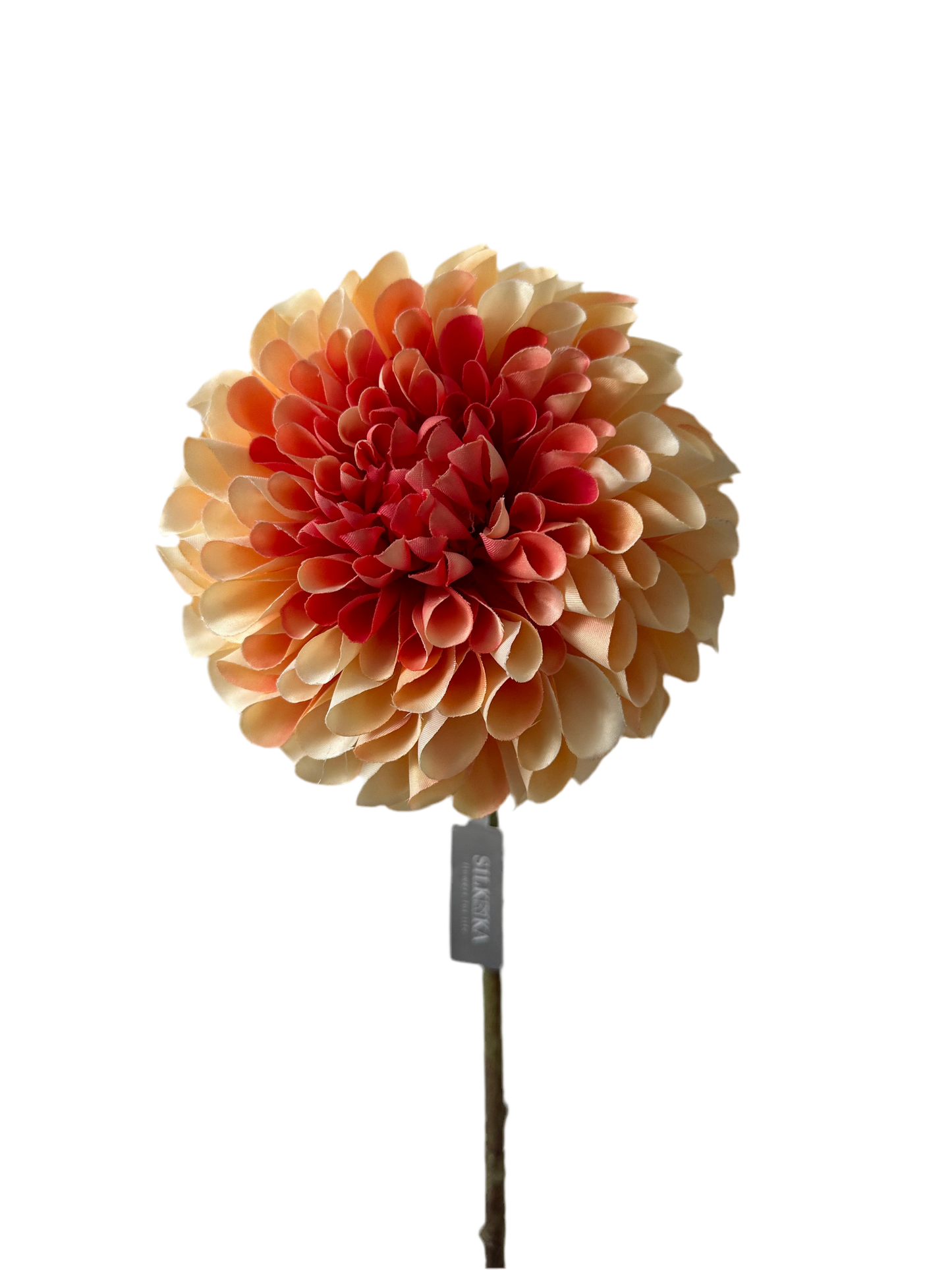 Dahliasteel oranje/rood silka