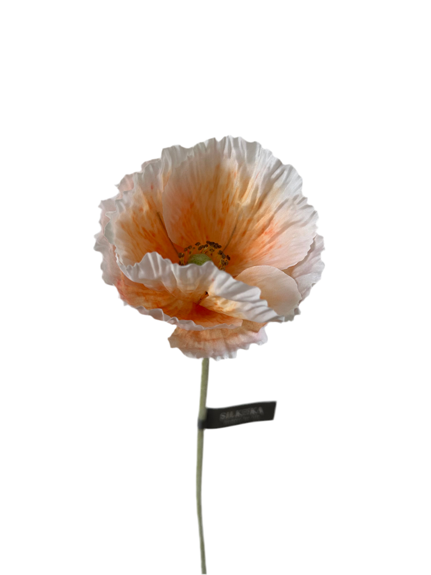 Klaproos silka