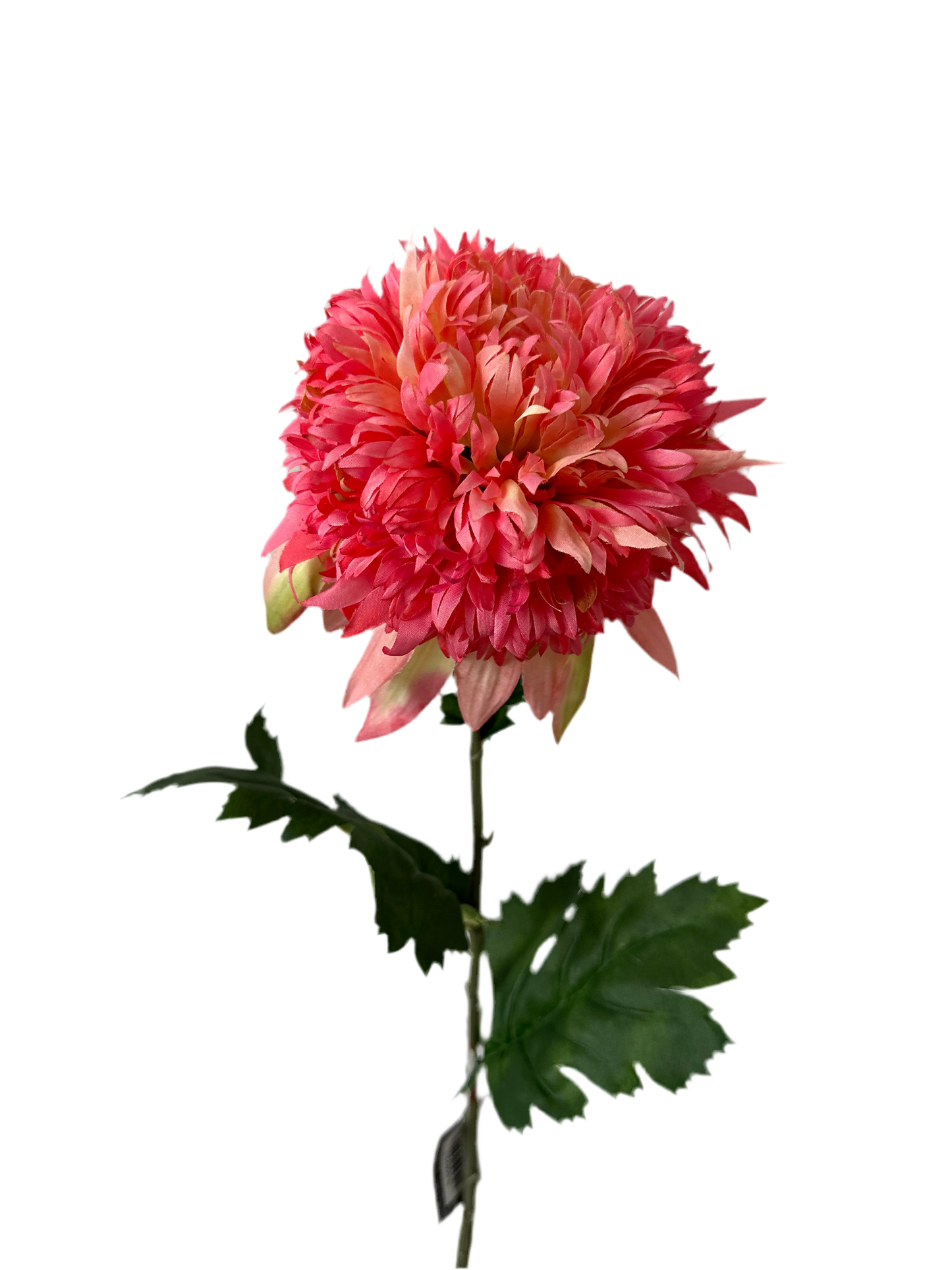 Wild mum spray