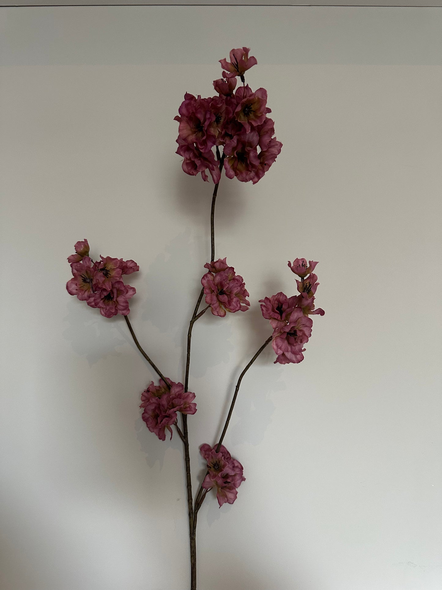 Bloesem aubergine