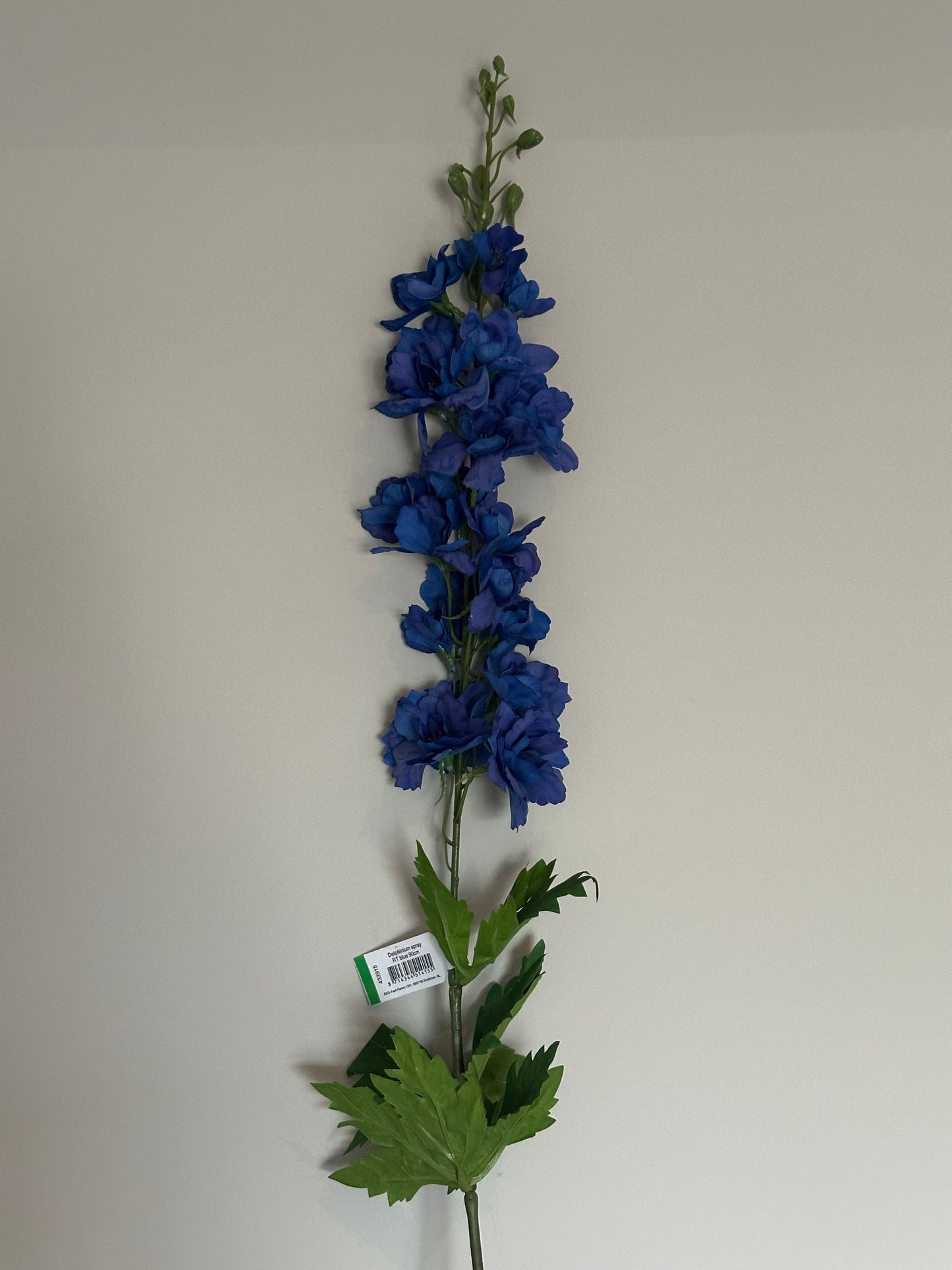 Delphinium spray