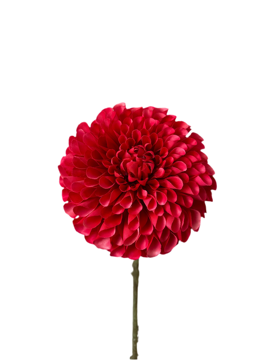 Dalia rood silka