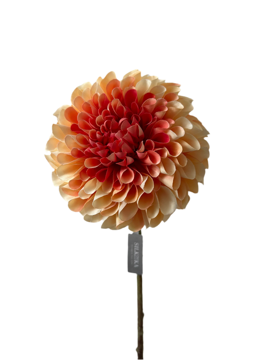 Dahliasteel oranje/rood silka