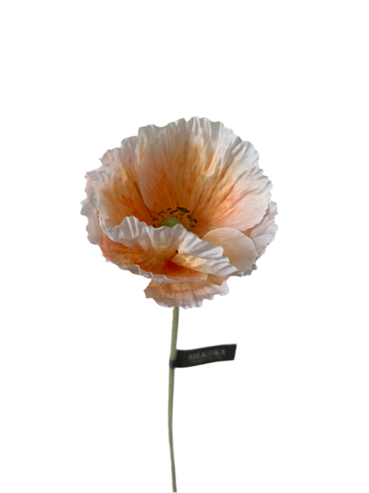 Klaproos silka