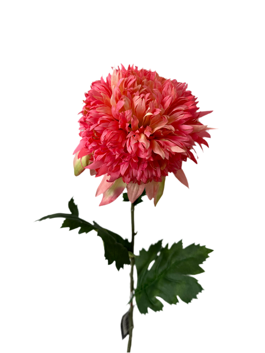 Wild mum spray
