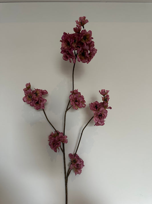 Bloesem aubergine