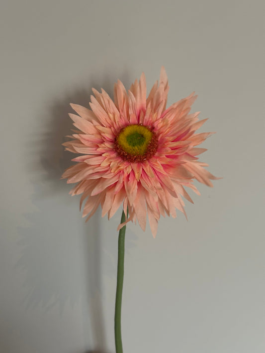 GERBERA STEEL PERZIK 61 cm