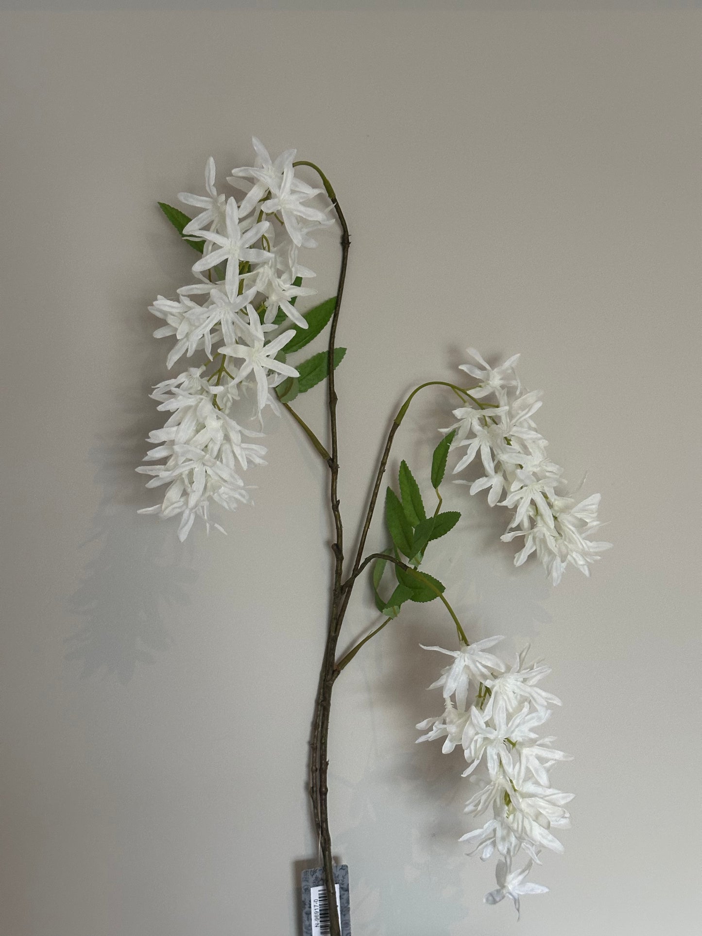 LENTEBLOEM 103CM WIT